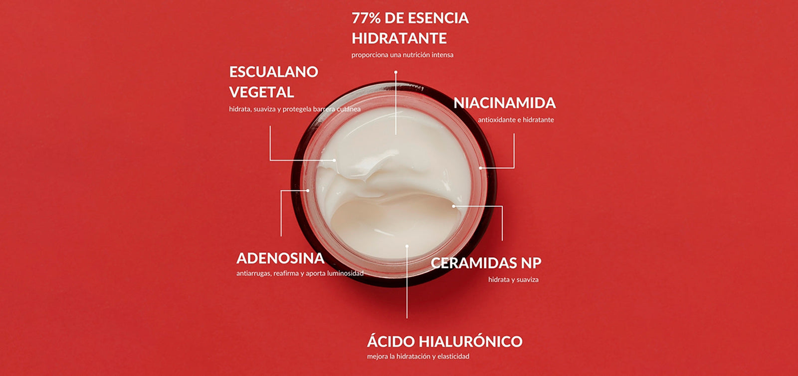 Ingredientes clave para cuidar la piel en la menopausia